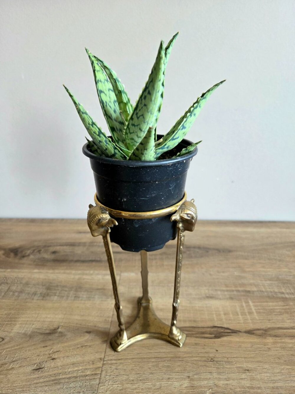 Vintage Ram's Head Plant Stand or Candleholder Hoof Feet Art Nouveau Style - Picture 7 of 7